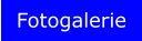 Fotogalerie